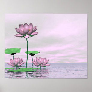 Rosa Wasserlilien und Lotus-Blume Poster