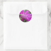Rosa Weihnachtskaktus blühen Runder Aufkleber (Tasche)