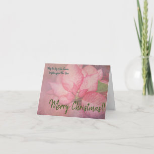 Rosa Weihnachtsstern 25 Frohe Weihnachtskarte Feiertagskarte