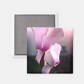 Rosa Weiße Blume Foto Square Magnet (Vorderseite/Rückseite)
