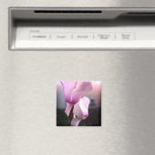 Rosa Weiße Blume Foto Square Magnet (In Situ (Geschirrspüler))