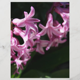 Rosa-weiße Frühlingsblumen