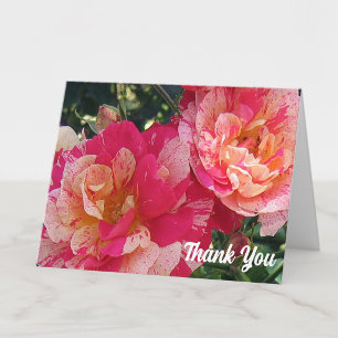 Rosa weiße gestreifte Rosen 4" x 5.6" Danke Karte