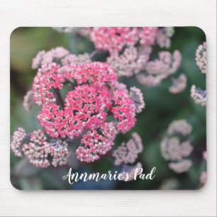 Rosa-weiße Schmetterlings-Steinbecher-Blumen Mousepad