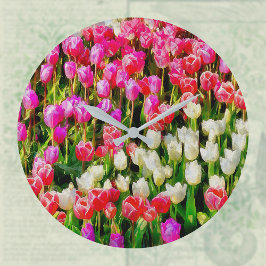 Rosa, weiße Tulpen, vom Vernon Große Wanduhr