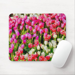 Rosa, weiße Tulpen, vom Vernon Mousepad