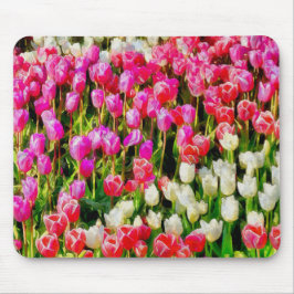 Rosa, weiße Tulpen, vom Vernon Mousepad