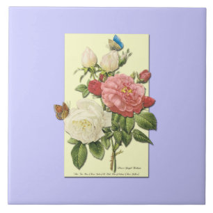Rosa Weiße Vintage Botanische Rosen Fliese