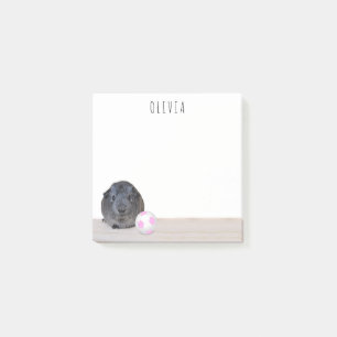 Rosa weißes Fußball-Meerschweinchen zurück zu Post-it Klebezettel