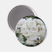 Rosa White Arrow Magnet (Vorderseite/Rückseite)