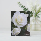 Rosa White Arrow:Postcard Postkarte (Stehend Vorderseite)