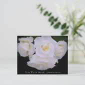 Rosa White Arrow Postkarte (Stehend Vorderseite)