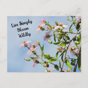 Rosa Wildblume auf blauem Zitat Postkarte