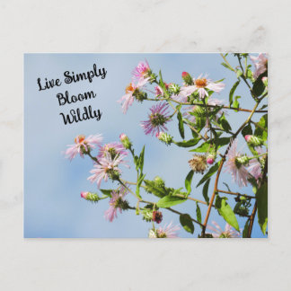 Rosa Wildblume auf blauem Zitat Postkarte