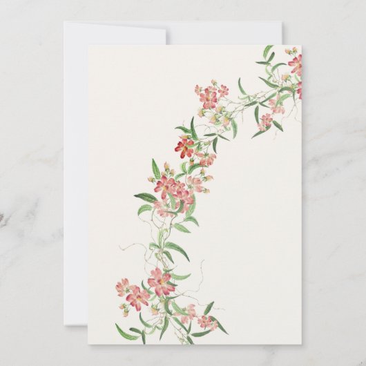 Rosa Wildblume Rose Frühjahr Garland Babydusche Einladung (Rückseite)