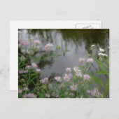 Rosa Wildblumen in der Nähe der Bachnatur Postkarte (Vorne/Hinten)
