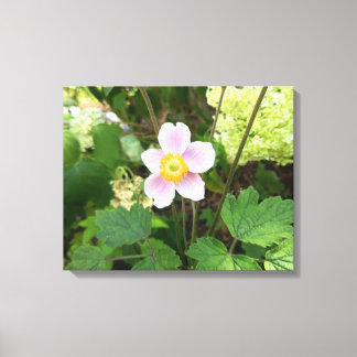 Rosa Wildblumen-Leinwanddruck | Botanische Blumen Leinwanddruck