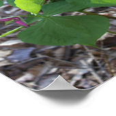Rosa Wildblumen Poster (Ecke)