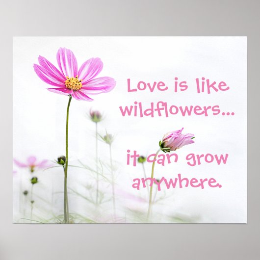 Rosa Wildblumen Poster (Vorne)