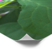 Rosa Wildblumen Poster (Ecke)