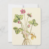 Rosa Wilde Blume Botanisches Abendessen Einladung (Rückseite)