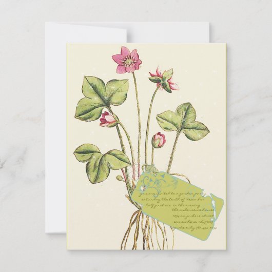 Rosa Wilde Blume Botanisches Abendessen Einladung (Vorderseite)