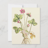 Rosa Wilde Blume Botanisches Abendessen Einladung (Rückseite)