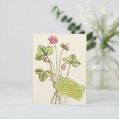 Rosa Wilde Blume Botanisches Abendessen Einladung (Stehend Vorderseite)