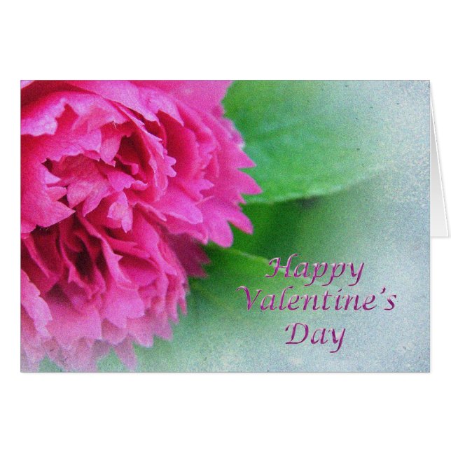 Rosa wilde Rose (Vorderseite (Horizontal))