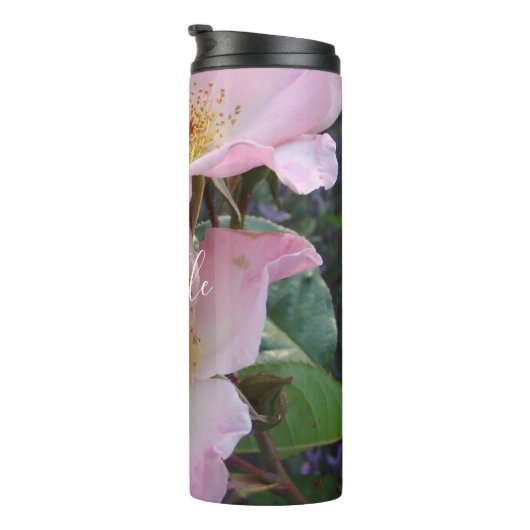 Rosa Wilde Rose Blume Blumenkruste Foto Thermal Tu Thermosbecher (Nach rechts gedreht)