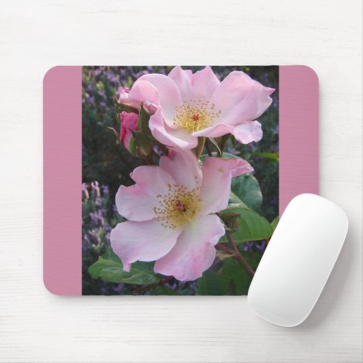 Rosa Wilde Rose Blume Foto Mousepad (Mit Mouse)