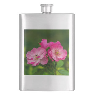Rosa Wildrosen-Blumen-Fotografie-Design-52654 Flachmann