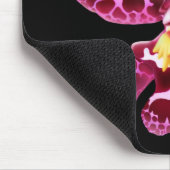 Rosa Wilsonara Orchideen-Blume Mousepad (Ecke)