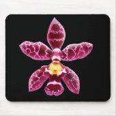 Rosa Wilsonara Orchideen-Blume Mousepad (Vorne)