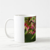 Rosa Winged Platane-Samen - Acer pseudoplatanus Kaffeetasse (Links)