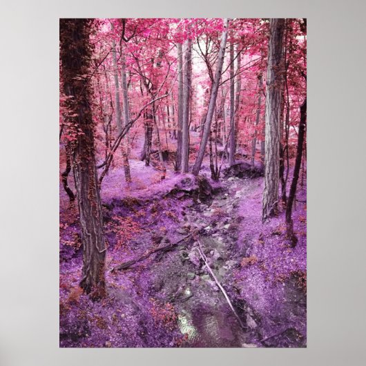 Rosa Wonderland Poster (Vorne)