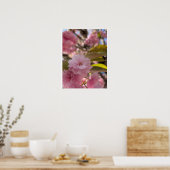 Rosa Yaezakura-Blüte Poster (Küche)