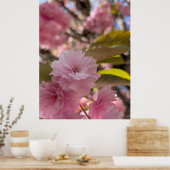 Rosa Yaezakura-Blüte Poster (Küche)