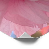 Rosa Yaezakura-Blüte Poster (Ecke)