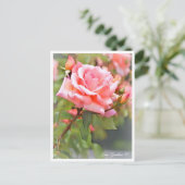 Rosa Zambra '93 Postkarte (Stehend Vorderseite)