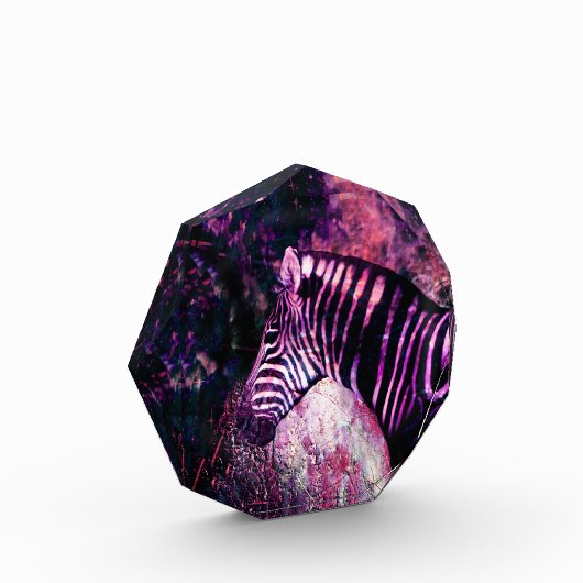 Rosa Zebra Fotoblock (Links)