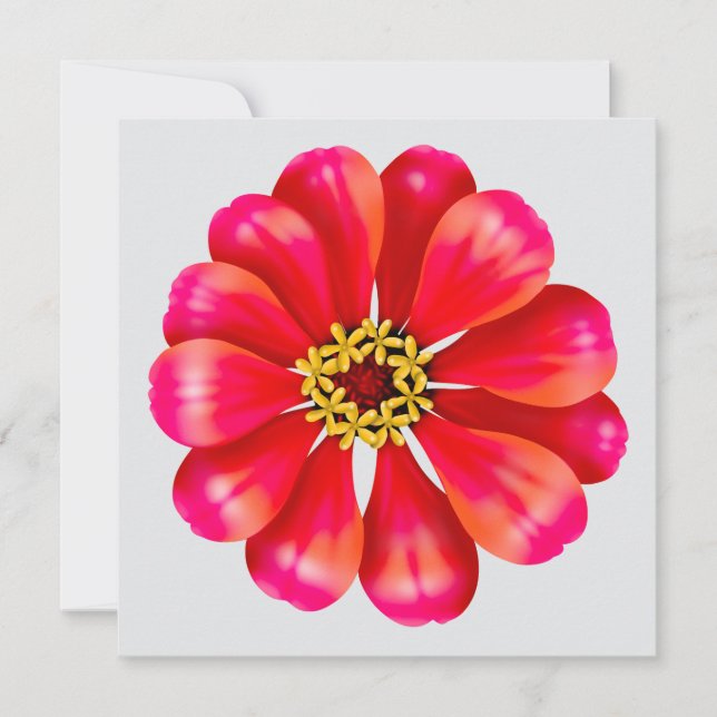 Rosa Zinnia (Vorderseite)