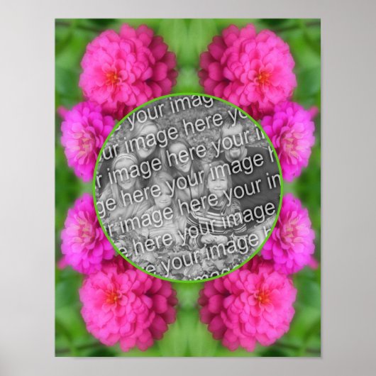 Rosa Zinnia-Blume gestalten Ihr eigenes Foto Poster (Vorne)