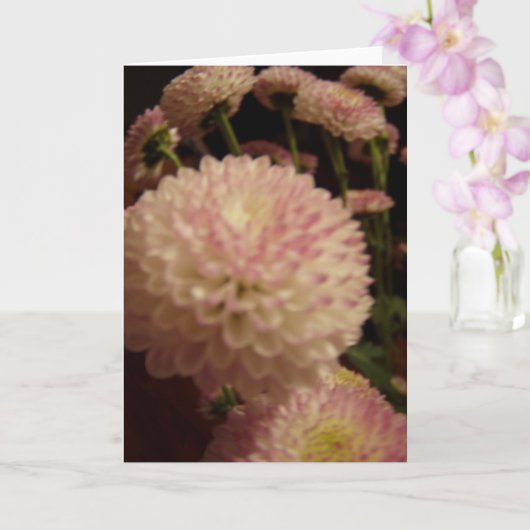 Rosa Zinnia-Blume Karte (Orchidee)