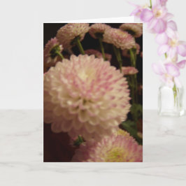 Rosa Zinnia-Blume Karte