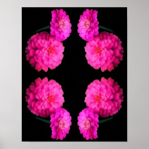 Rosa Zinnia Blume Paare Abstrakte Kunst Poster