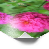 Rosa Zinnia Blume Pair Mirror Abstrakt 8x10 Fotodruck (Ecke)