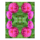 Rosa Zinnia Blume Pair Mirror Abstrakt 8x10 Fotodruck (Vorne)