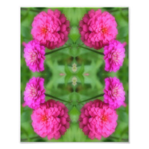 Rosa Zinnia Blume Pair Mirror Abstrakt 8x10 Fotodruck