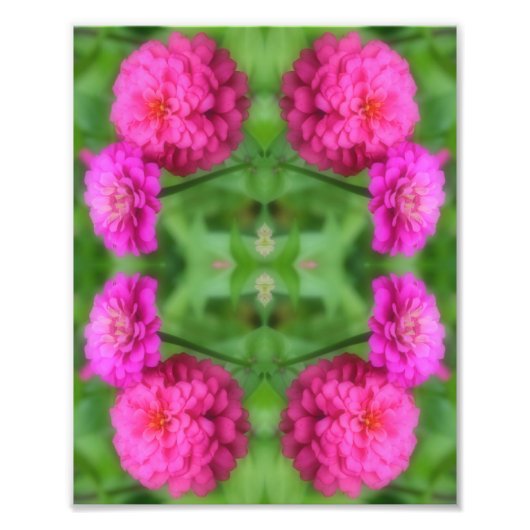 Rosa Zinnia Blume Pair Mirror Abstrakt 8x10 Fotodruck (Vorne)